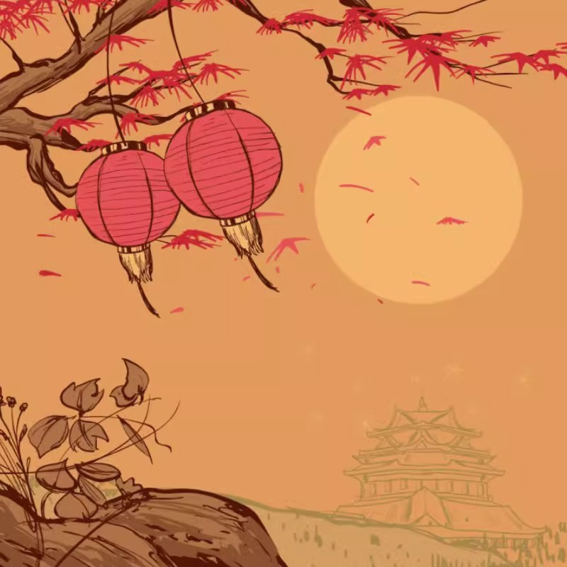 Japanese Furoshiki Sushi Lunch - Furoshiki recension och pris